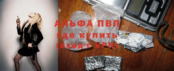 гидра Гусь-Хрустальный